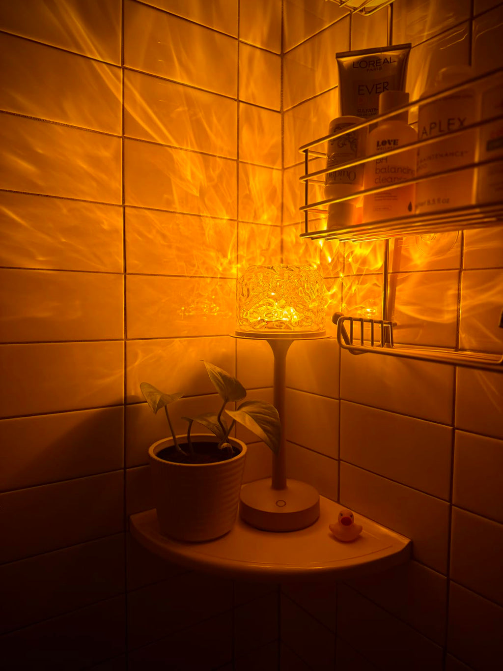 Auria Glow®