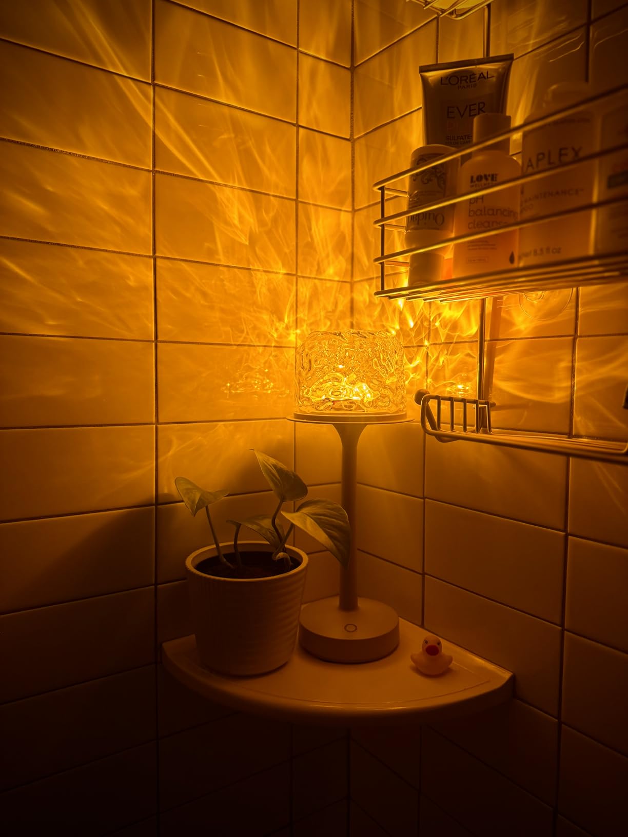 Auria Glow®